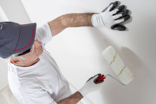 Best Mold Prevention Services  in Montrose, CO
