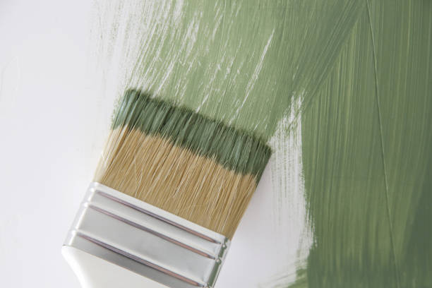 Best Water Damage & Mold Remediation  in Montrose, CO