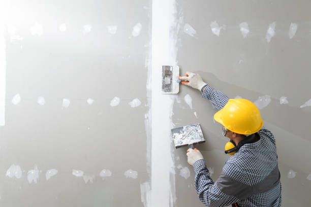 Best Comprehensive Air Testing for Mold Contaminants  in Montrose, CO