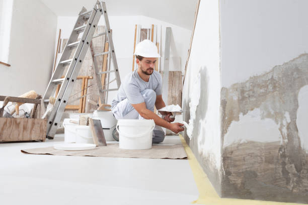 Montrose, CO Mold Removal Company