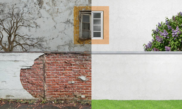 Environmental Consulting for Mold Prevention in Montrose, CO